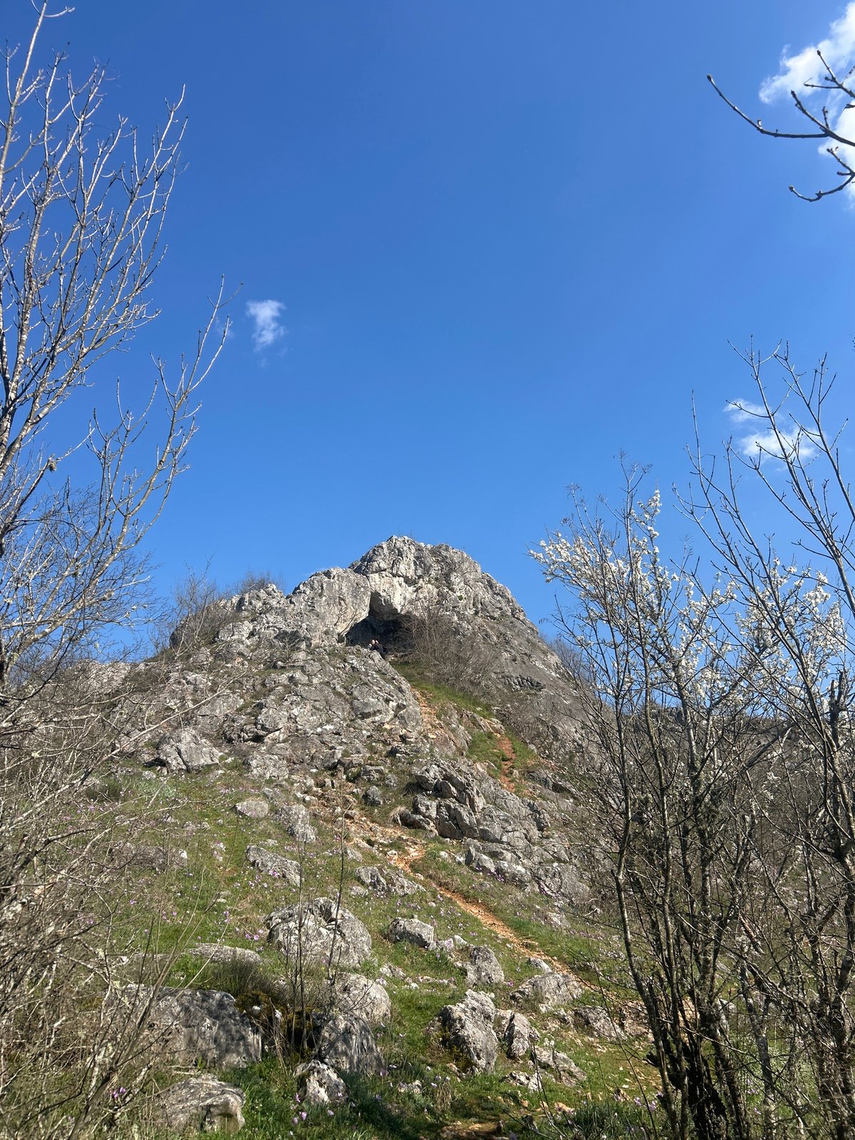 Group explores natural areas around Mladezhko, Bulgaria during spring outing