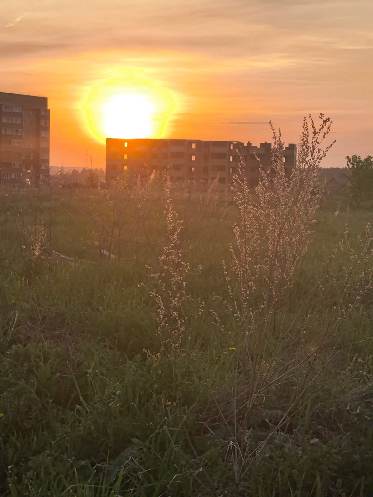 Sunset documented over grassy field in Фролы, Russia