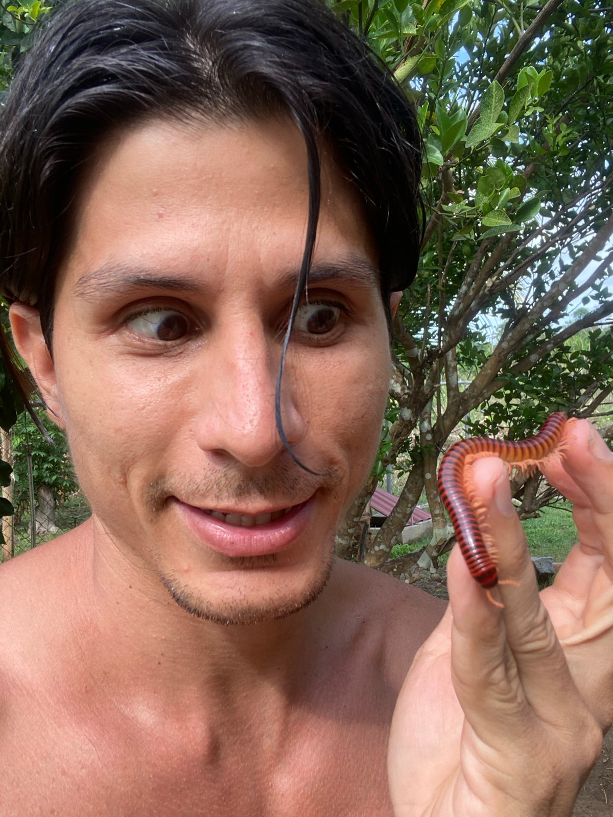 Slow afternoon in rural Venezuela: millipedes, hammocks, and cooking