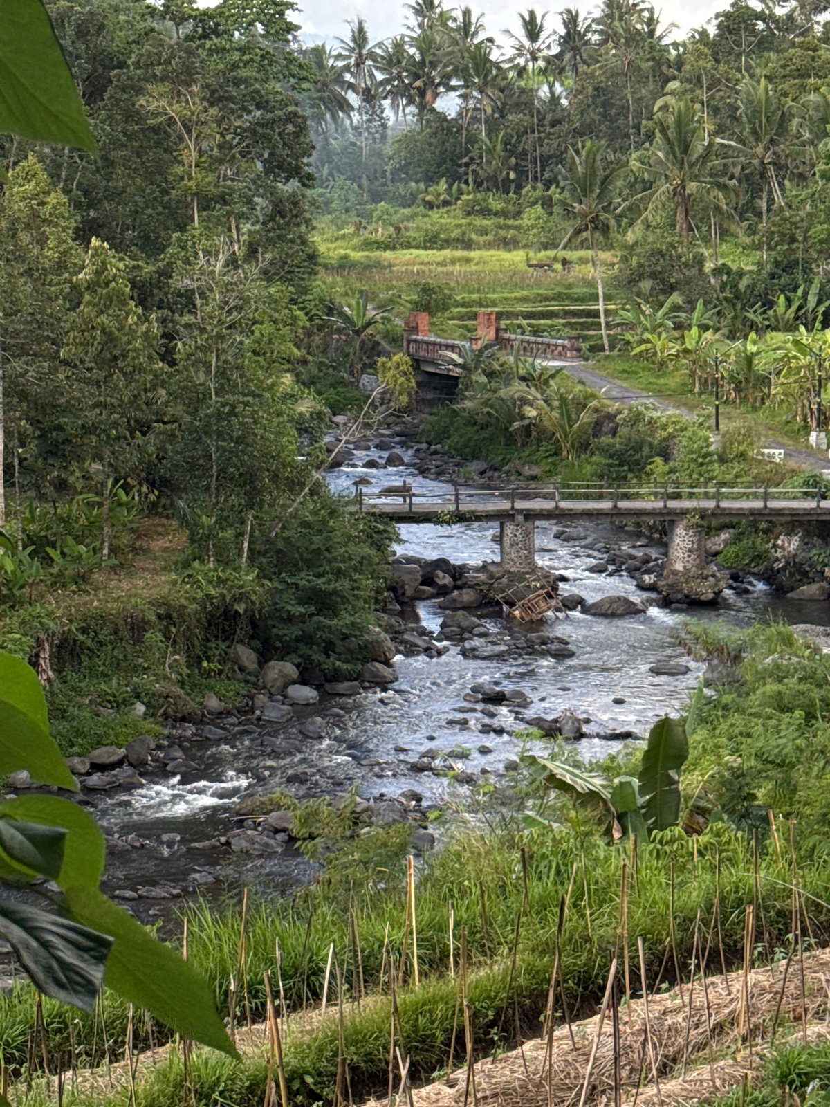 Sidemen river, shrines, and Mount Agung on a June morning