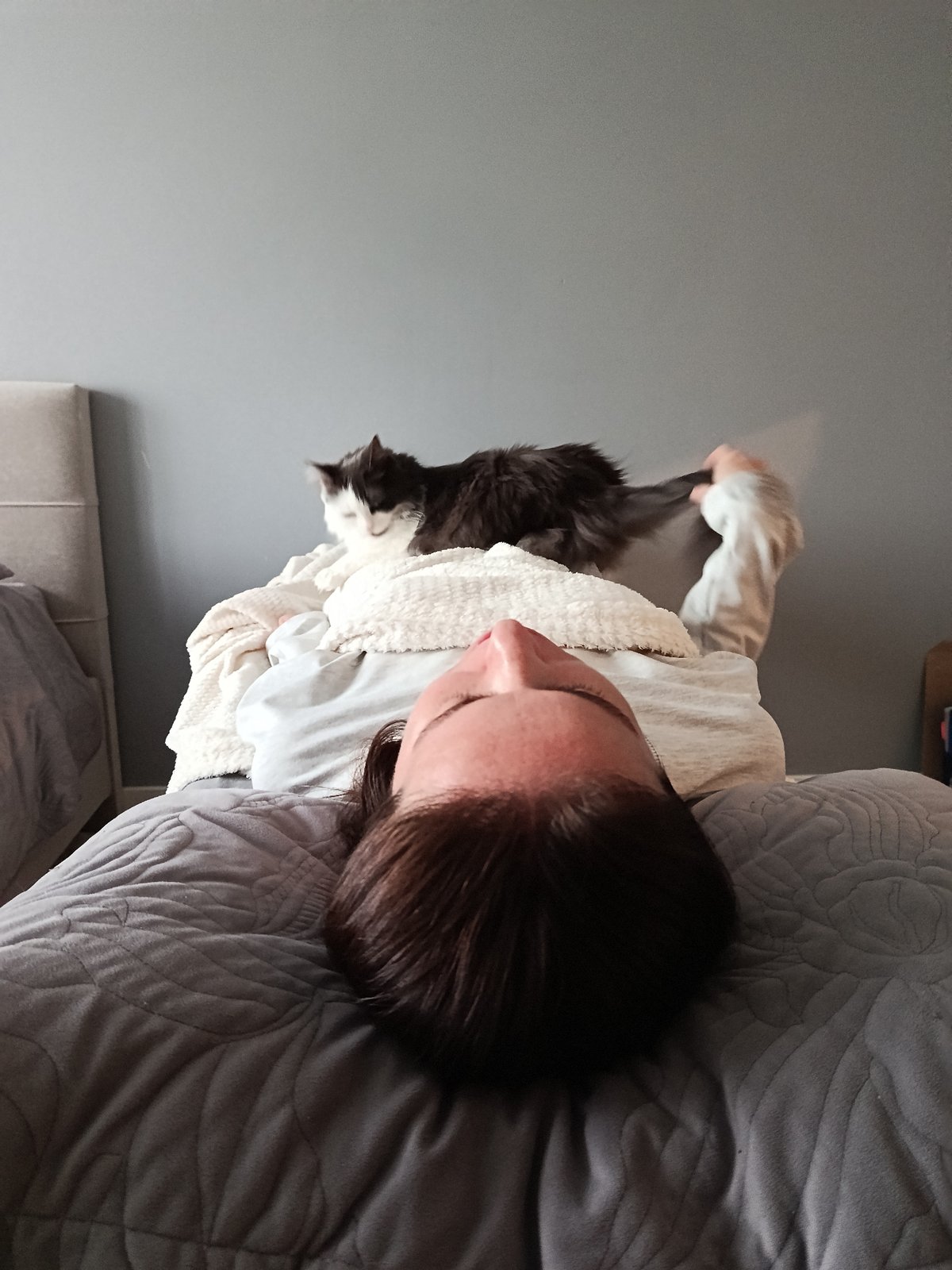 Morning domestic moments with cats captured in Odintsovo home