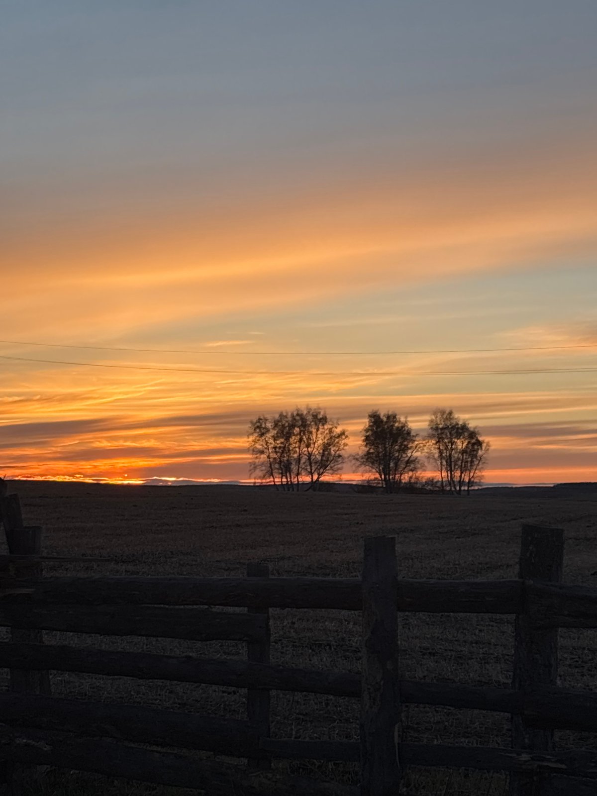 Sunset illuminates rural landscape with silhouetted trees in Olzony