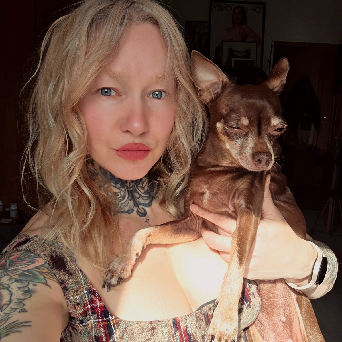 Woman poses with sleeping Chihuahua in Saint Petersburg
