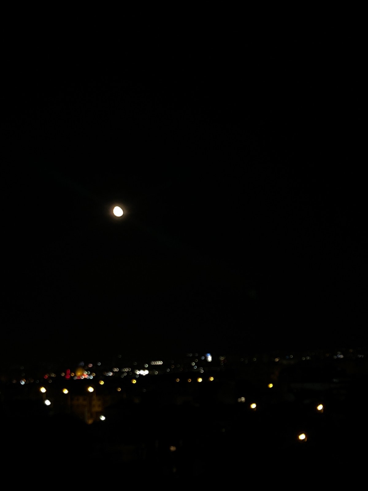 Sofia resident captures night cityscape views, sketches fighting birds