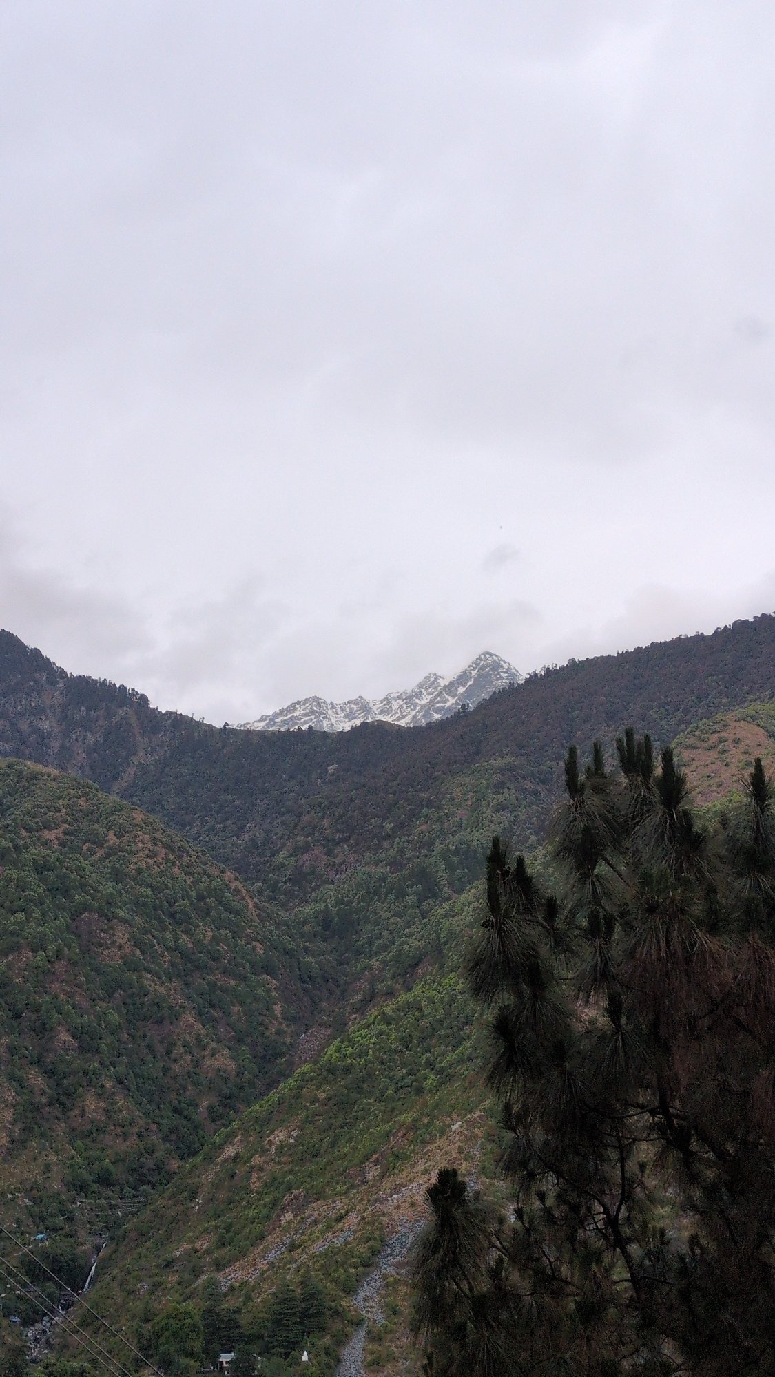 Mountain landscape photographed in Bhagsu, India under overcast skies