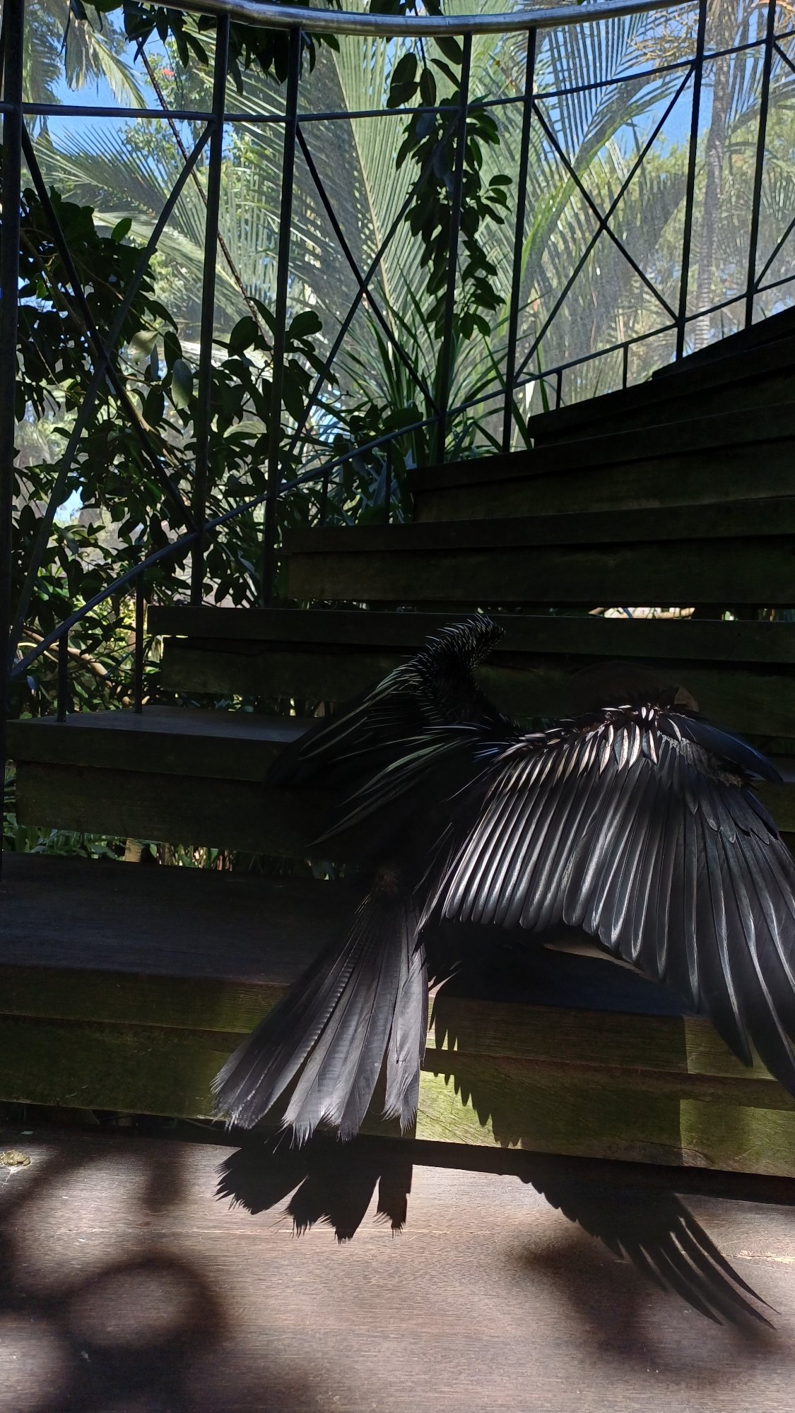 Visitor captures exotic birds at Bali Bird Park