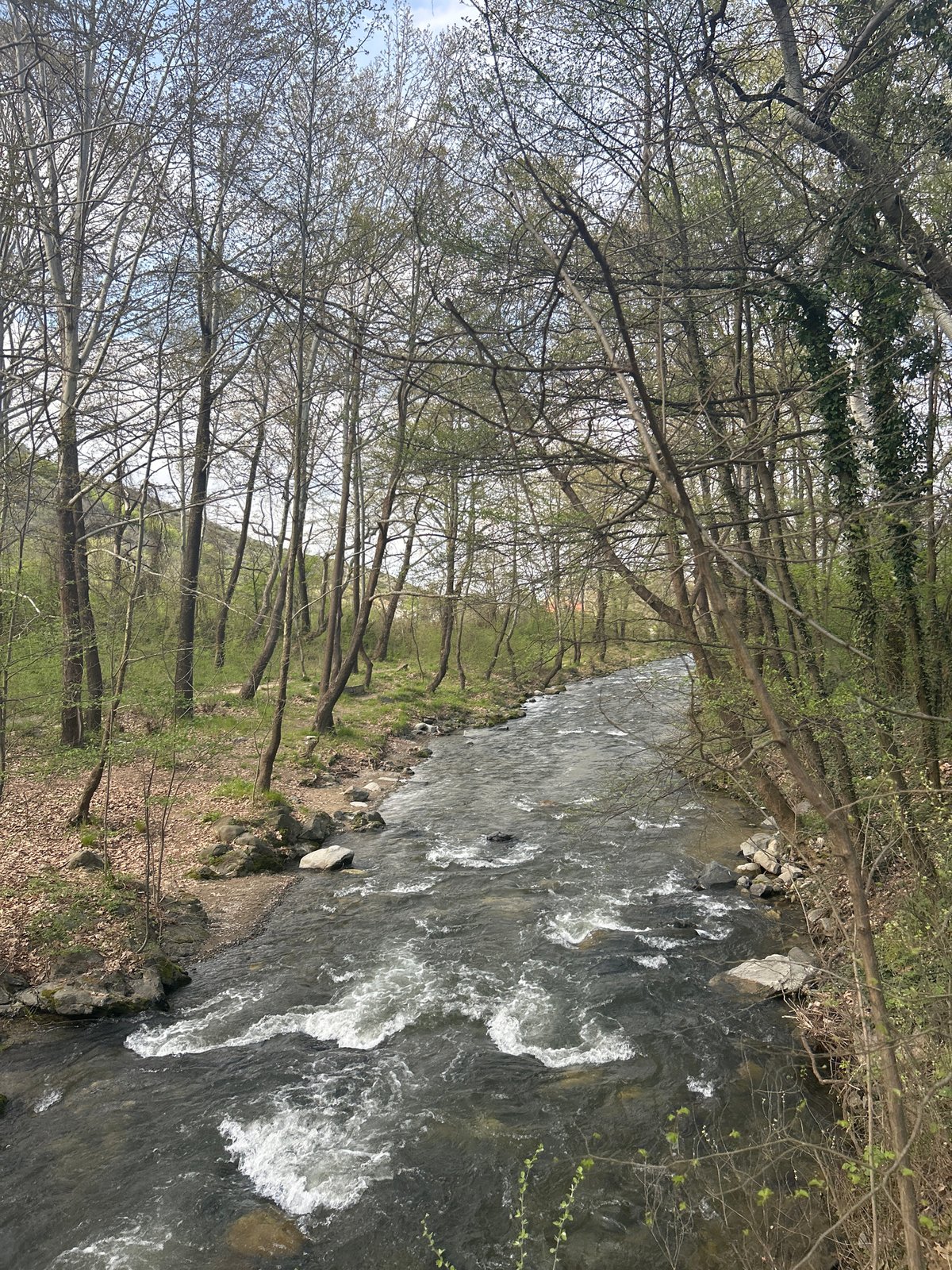 Photographer documents spring river scenery in Parvenets, Bulgaria