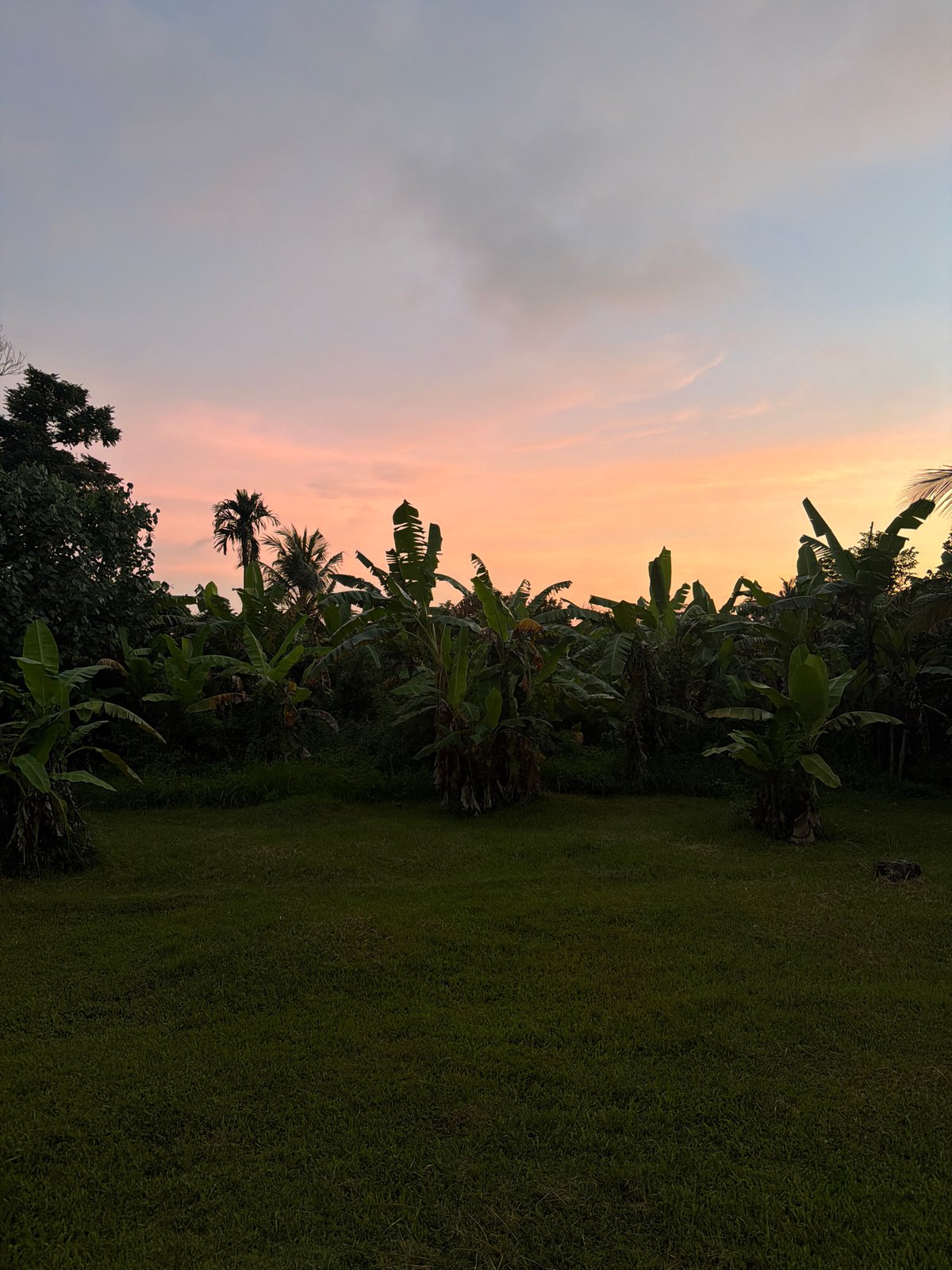 Woman photographed during sunset session in Ubud tropical gardens