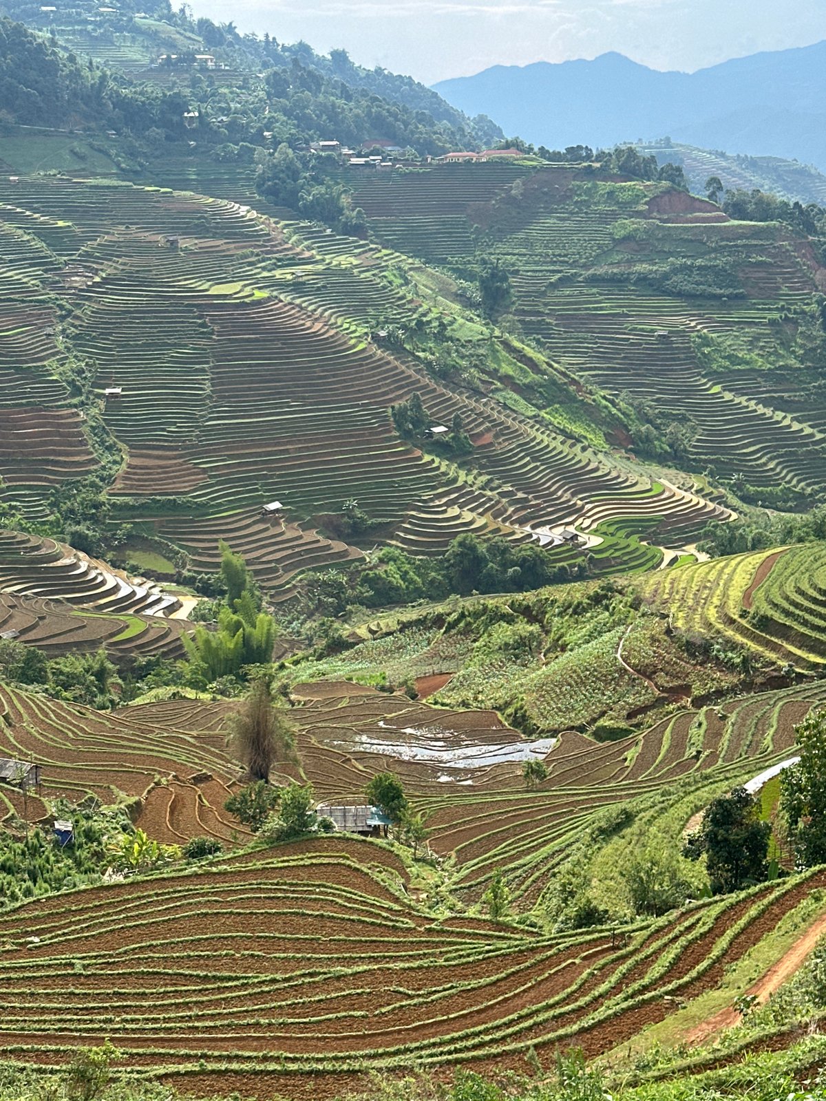 Tourists document scenic terraced rice fields in Lao Chai Vietnam