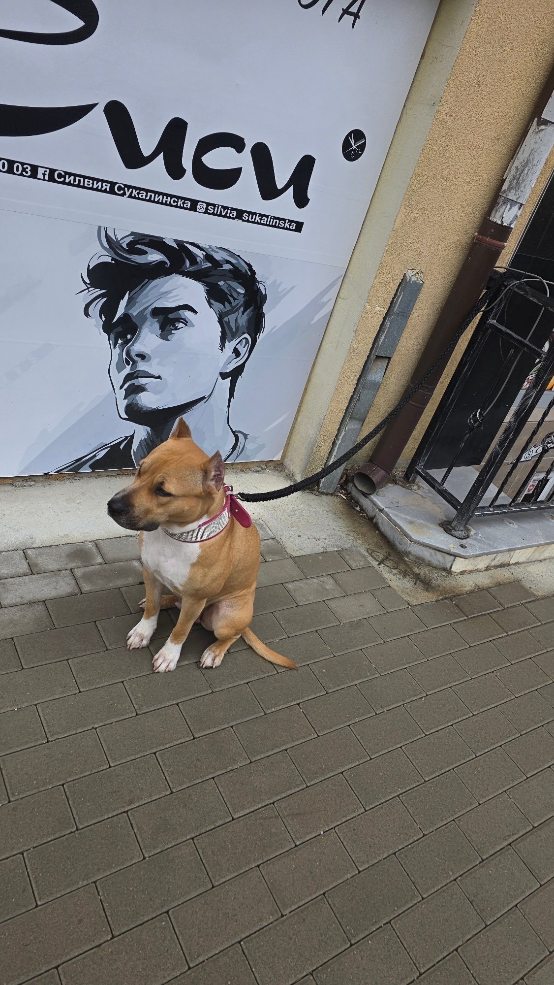 Morning street scenes documented across Blagoevgrad, Bulgaria