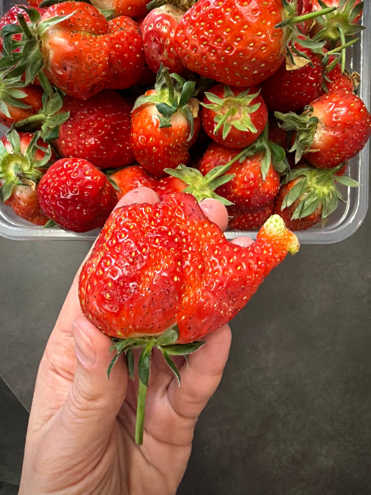 Moscow resident prepares homemade caramel sauce with fresh strawberries