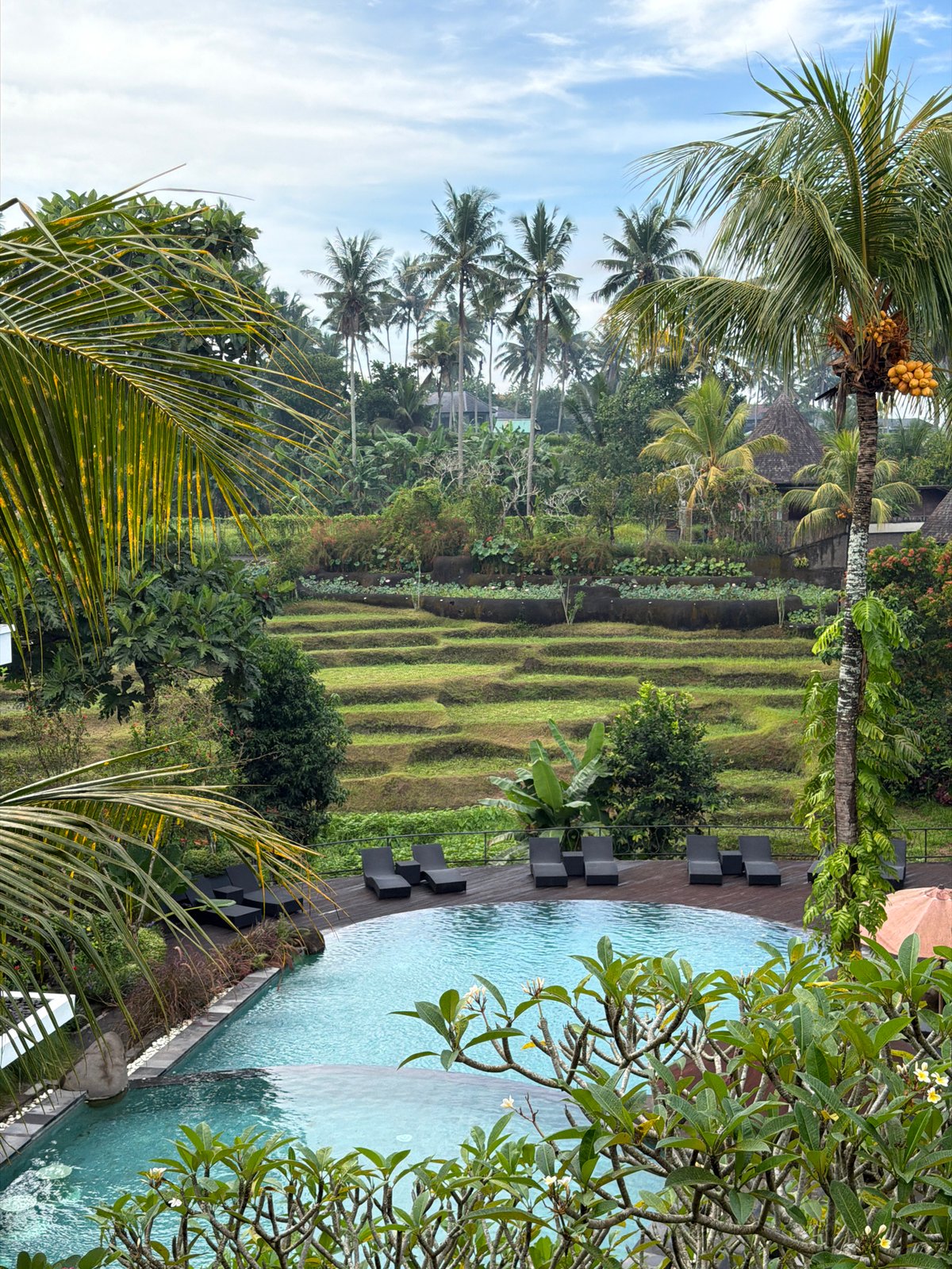Tropical landscape view captured from elevated Ubud District vantage point