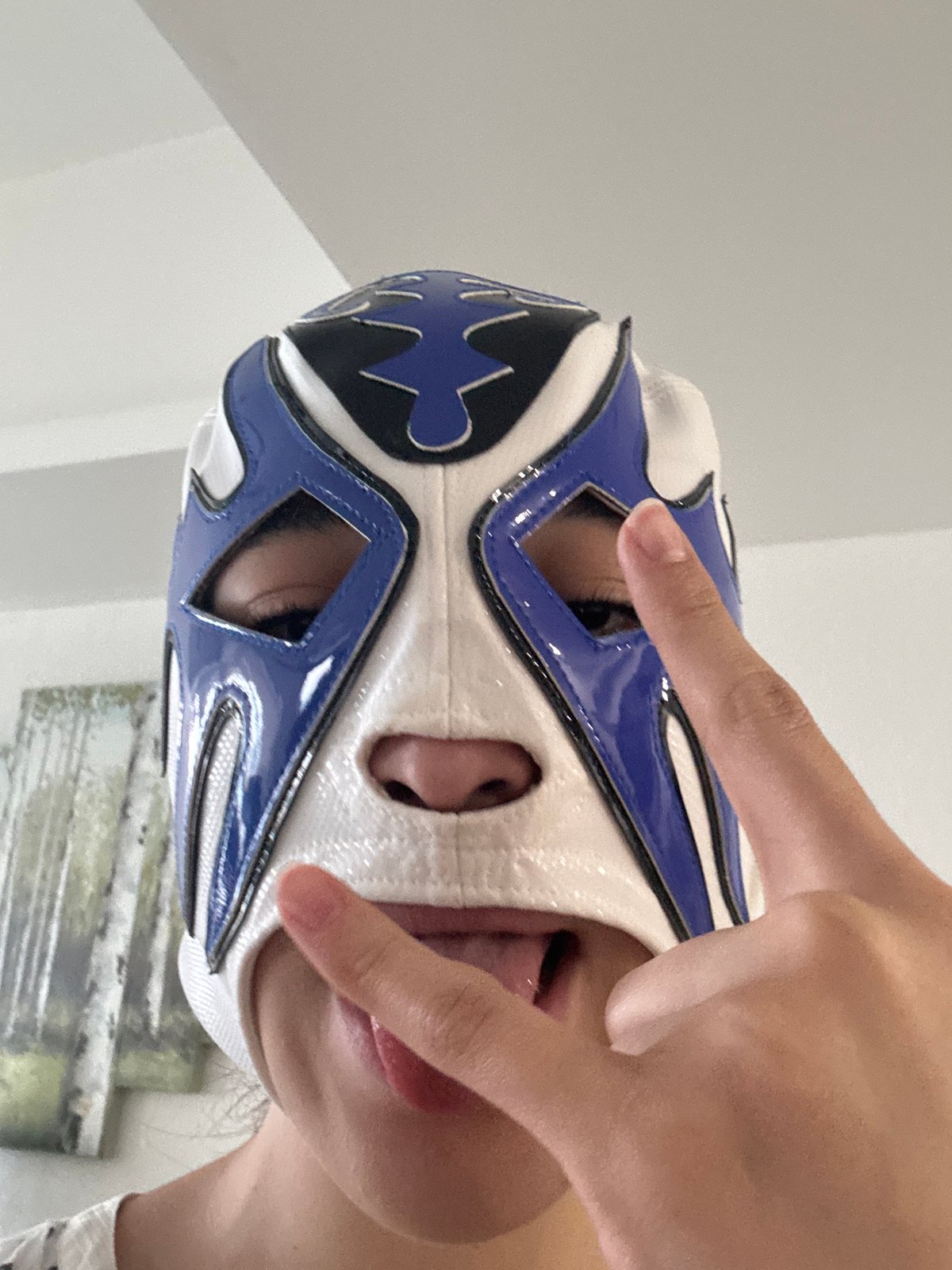 Lucha libre mask and ceviche meal documented in Veracruz region