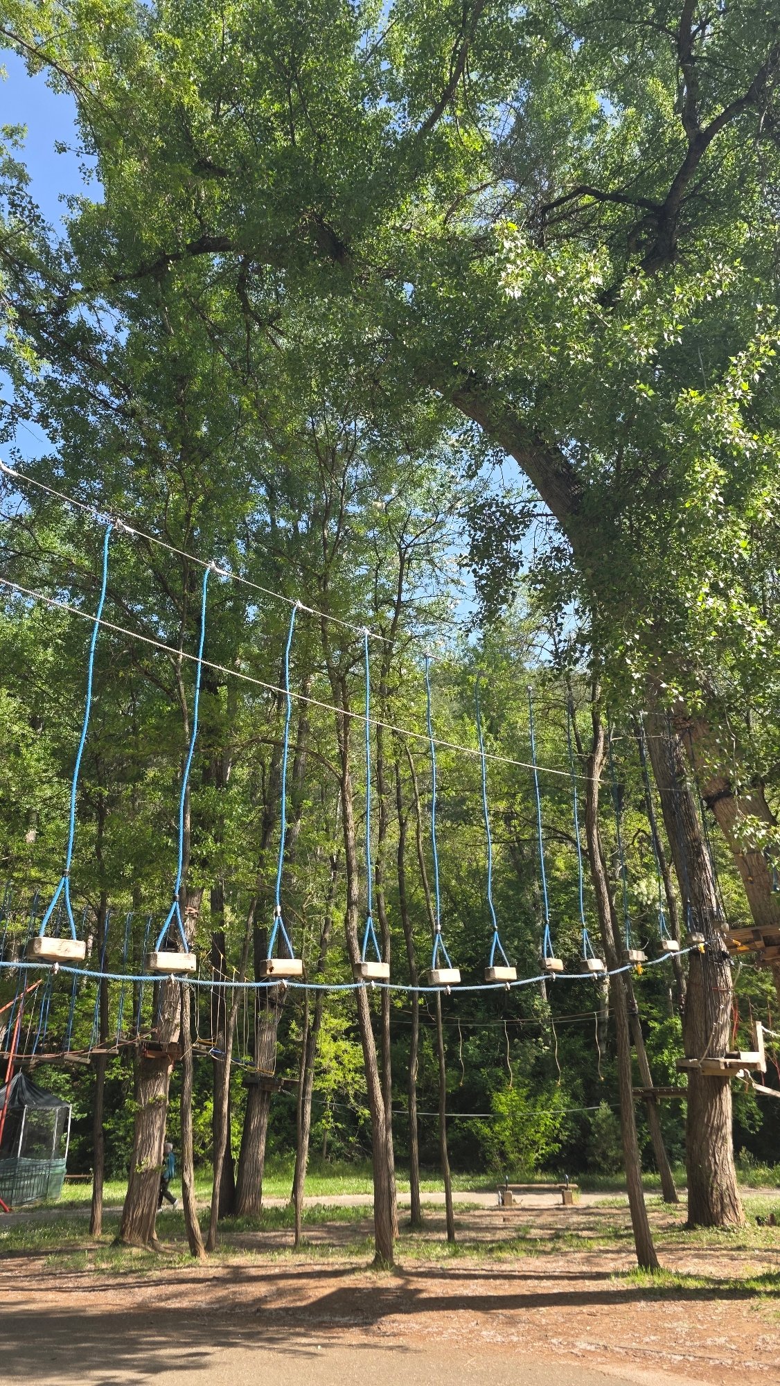 Adventure park with elevated rope course spotted in Blagoevgrad
