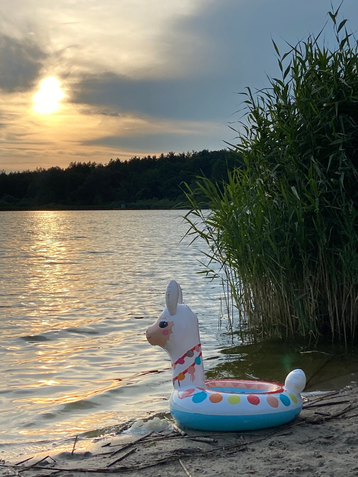 Lakeside campground at golden hour with cabins and a llama float