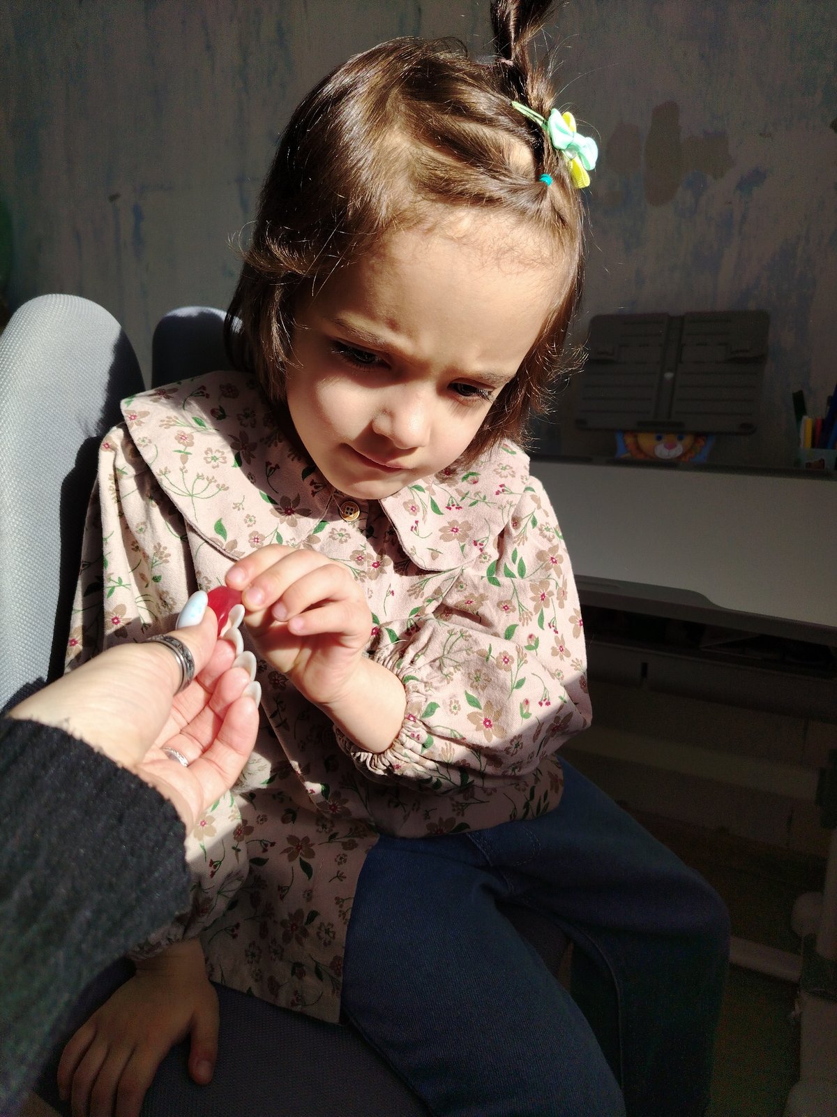 Early morning family moments with child and dog in Noviy