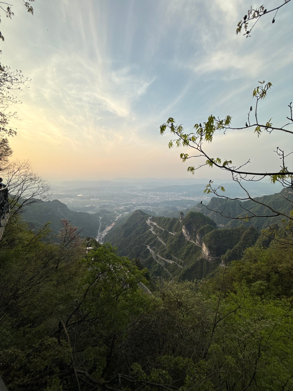 Spring foliage frames mountain vista at Tianmen Mountain, Zhangjiajie
