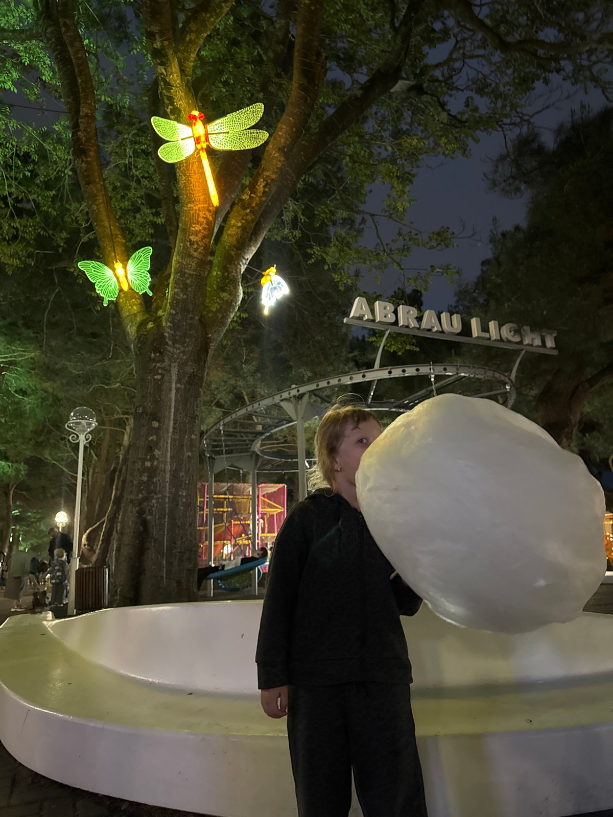 Holiday Light Festival Draws Families to Gelendzhik Resort