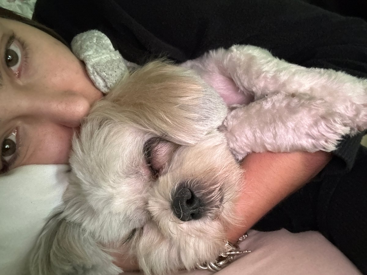 Person shares intimate moment with dog indoors Mexico City