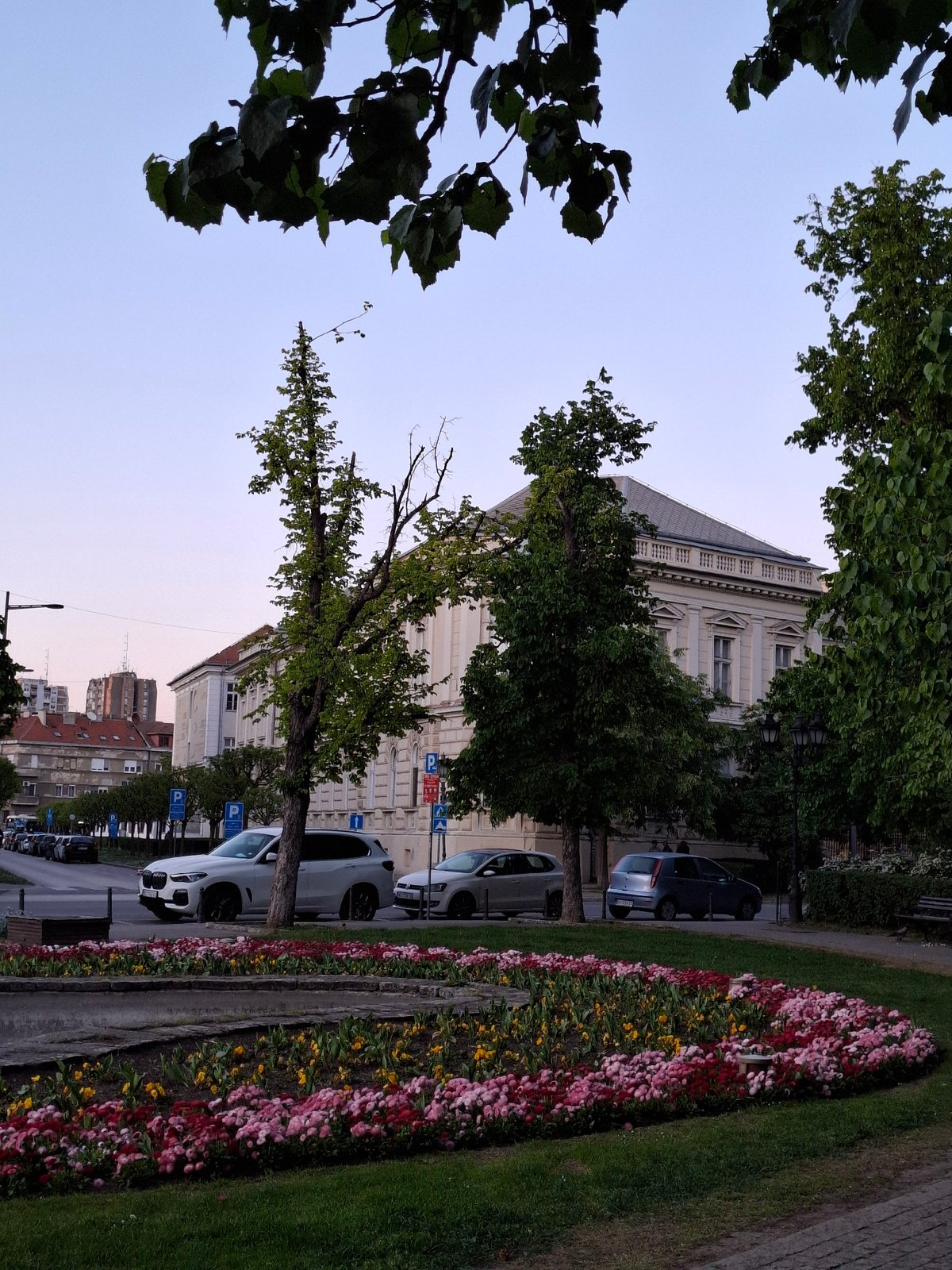 Person enjoys blue cocktail on park bench in Novi Sad