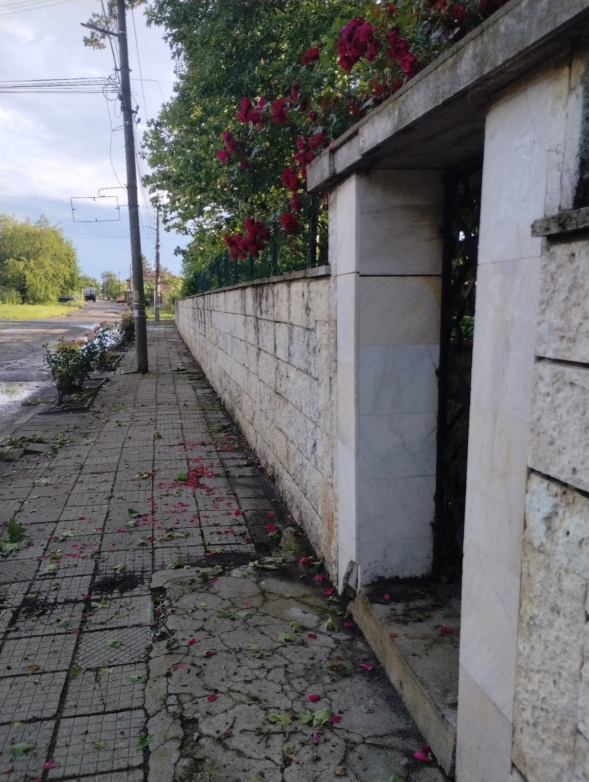 Witness documents quiet afternoon stroll through Roza, Bulgaria