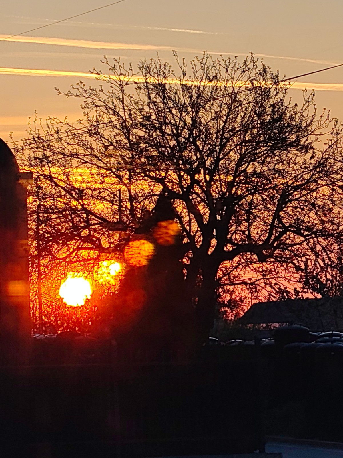Dramatic sunrise observed over Shumen, Bulgaria with silhouetted tree