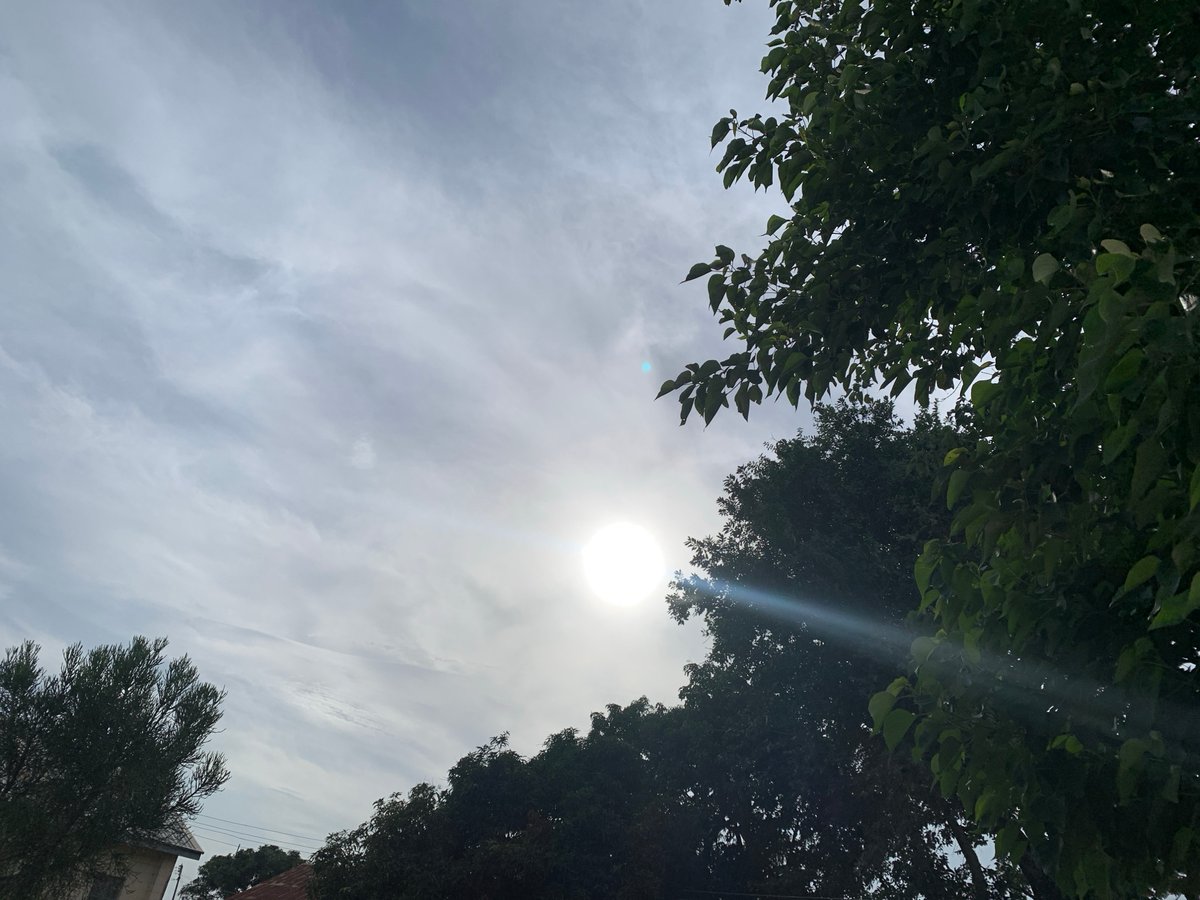 Morning light, ducklings, and everyday life in Kuru Karama