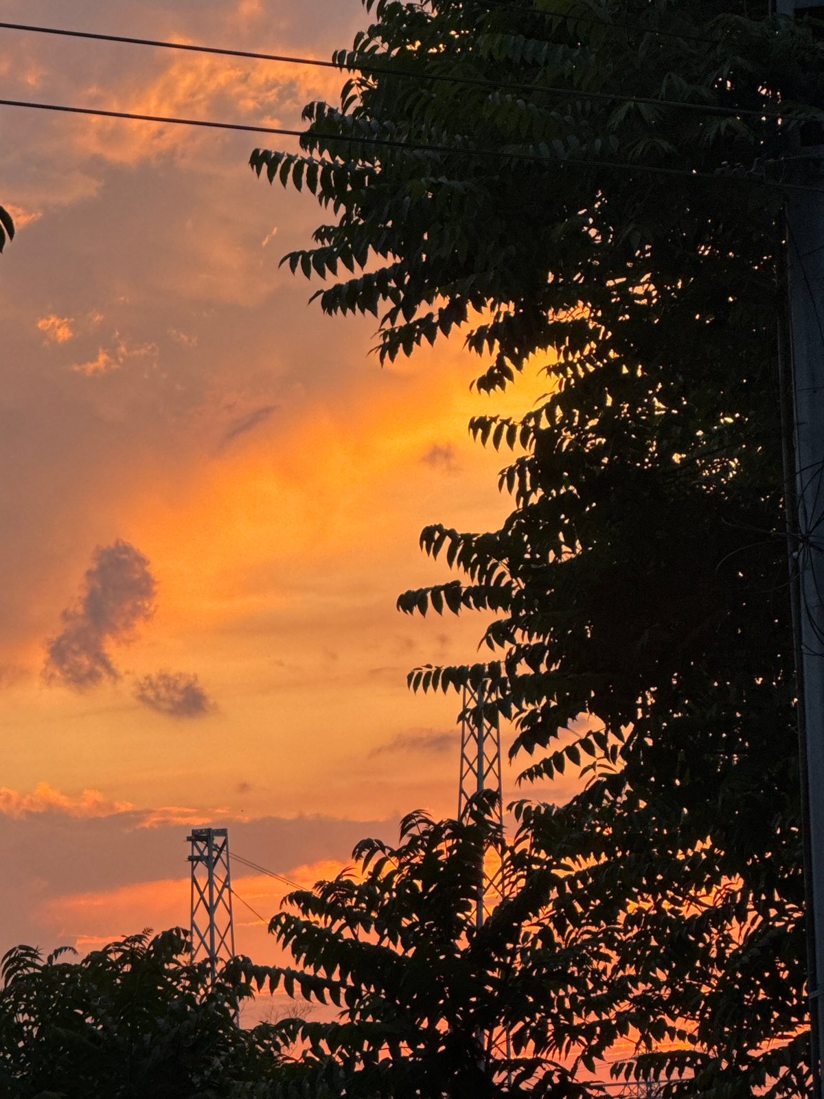 Everyday street life documented across Burgas neighborhoods during evening hours