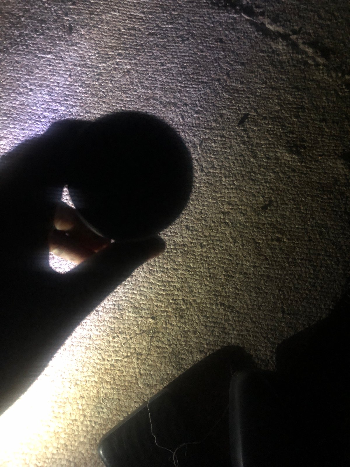 Personal electronics and household items documented on carpet in Jalingo
