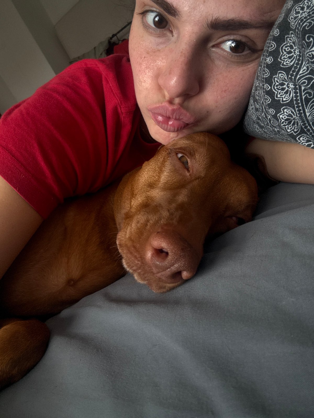 Early morning domestic moments captured across Sofia residence