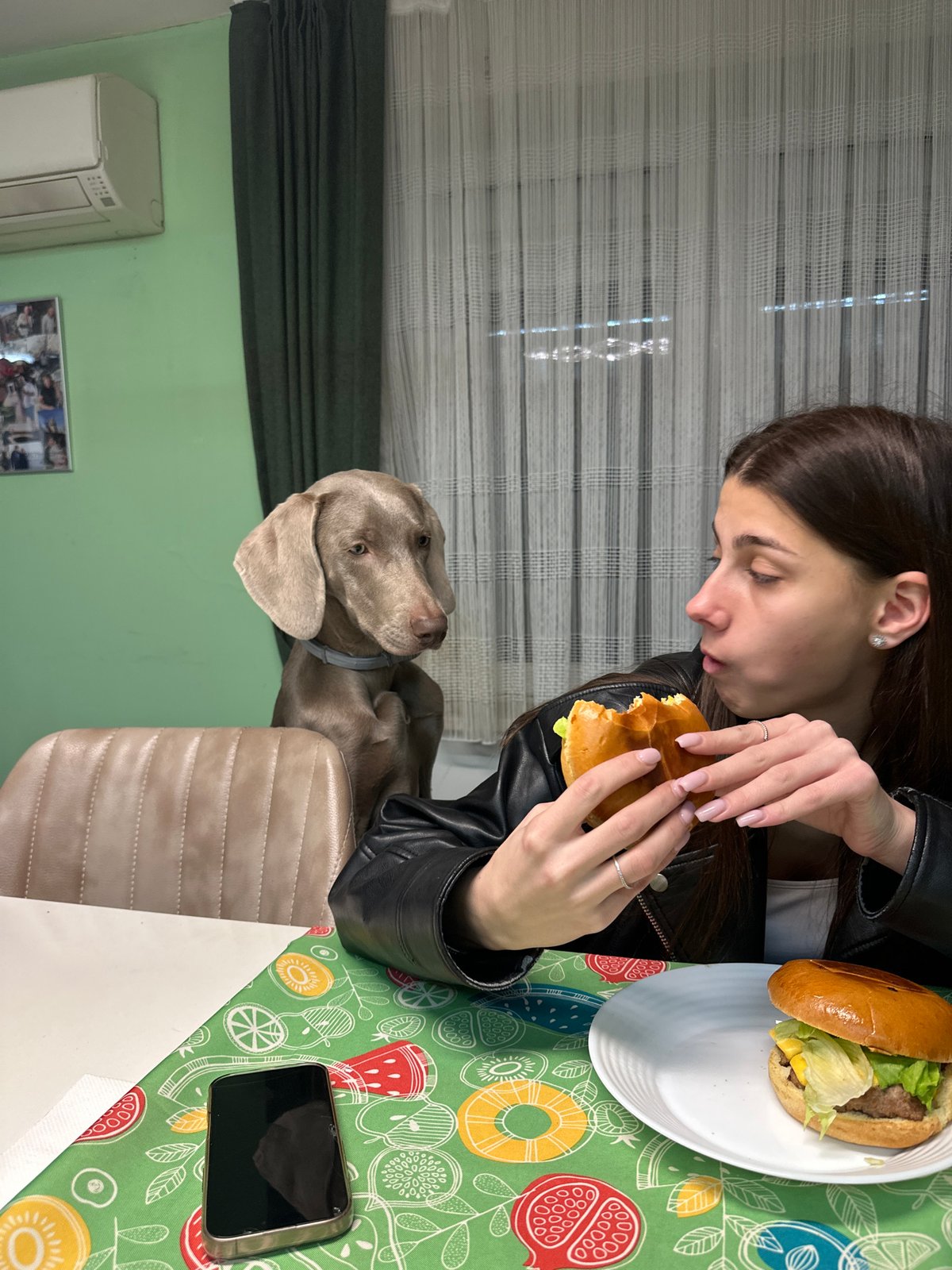 Woman shares hamburger moment with dog in Plovdiv restaurant