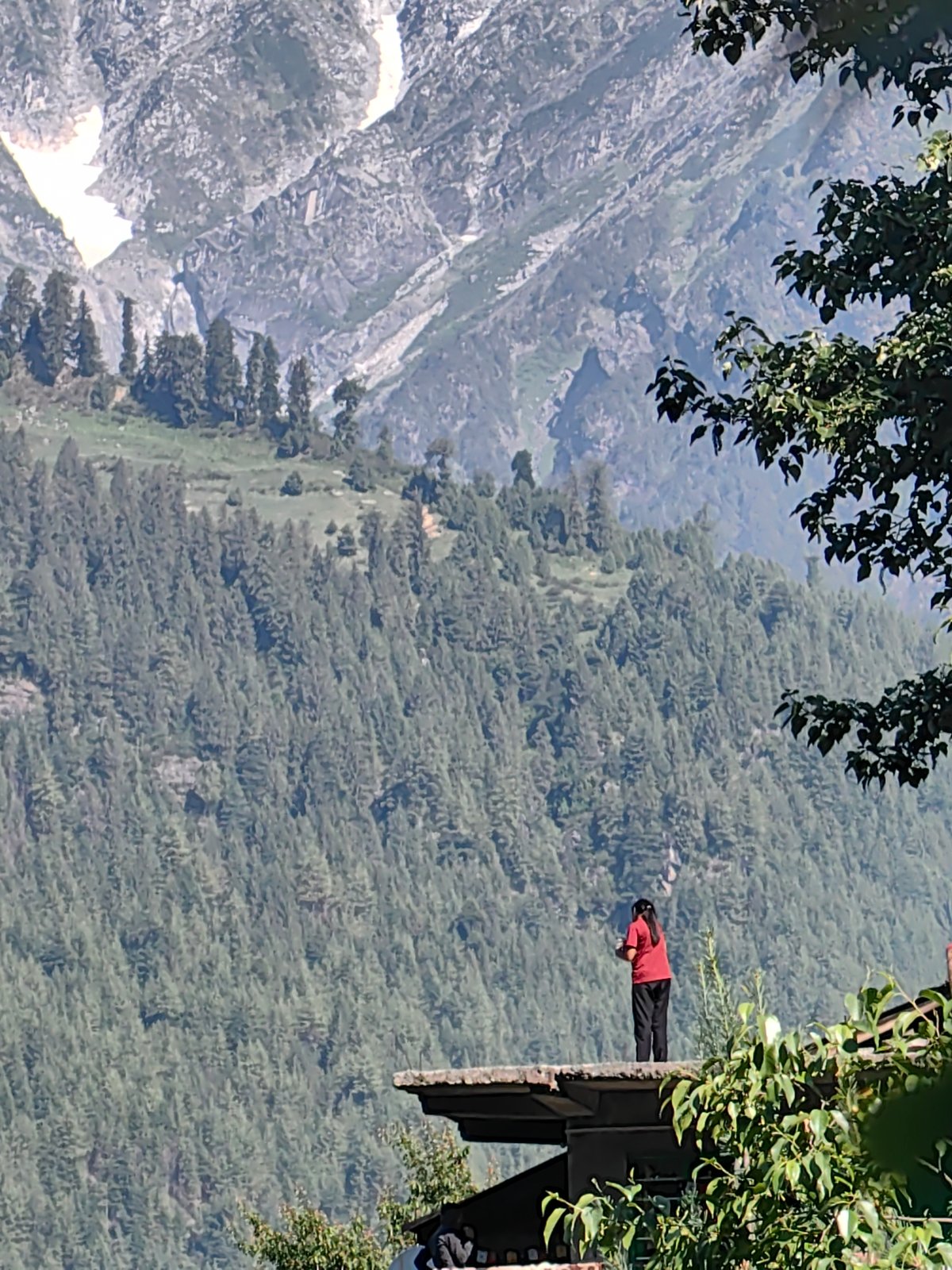 Morning documentation of natural Himalayan village life in Vashisht