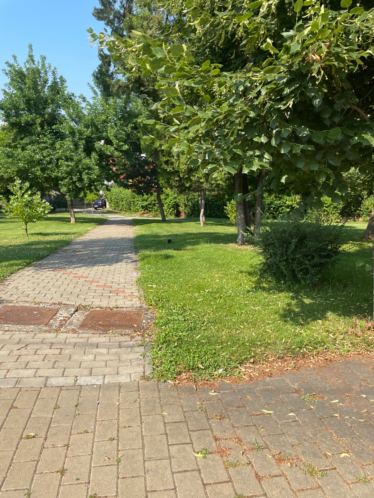 Summer morning stroll through Iași parks and city streets