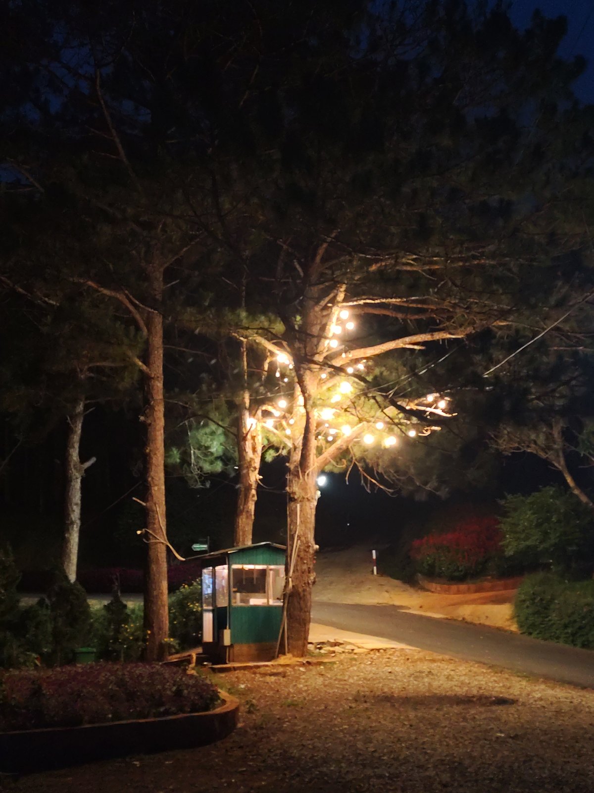 Morning exploration of Da Lat landmarks and outdoor spaces documented
