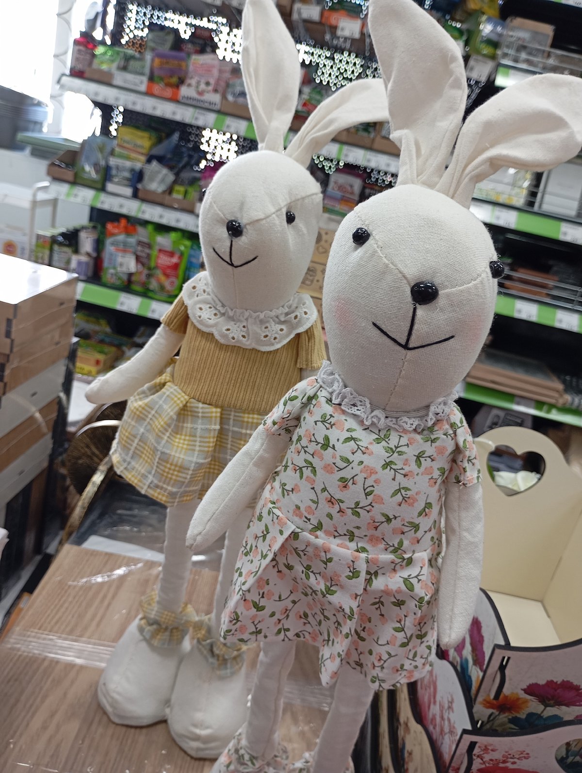 Morning shopping and garden scenes documented across retail locations
