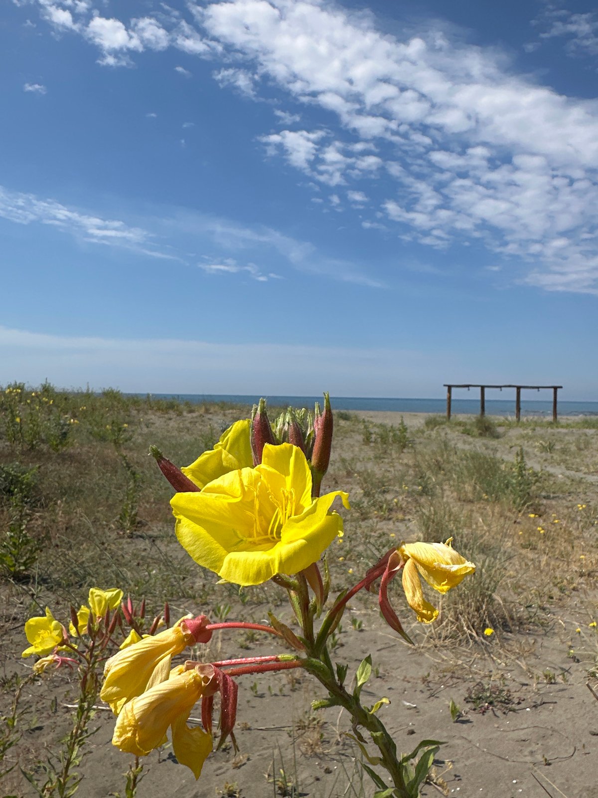 Morning beach scenes documented at Donja Štoj, Montenegro