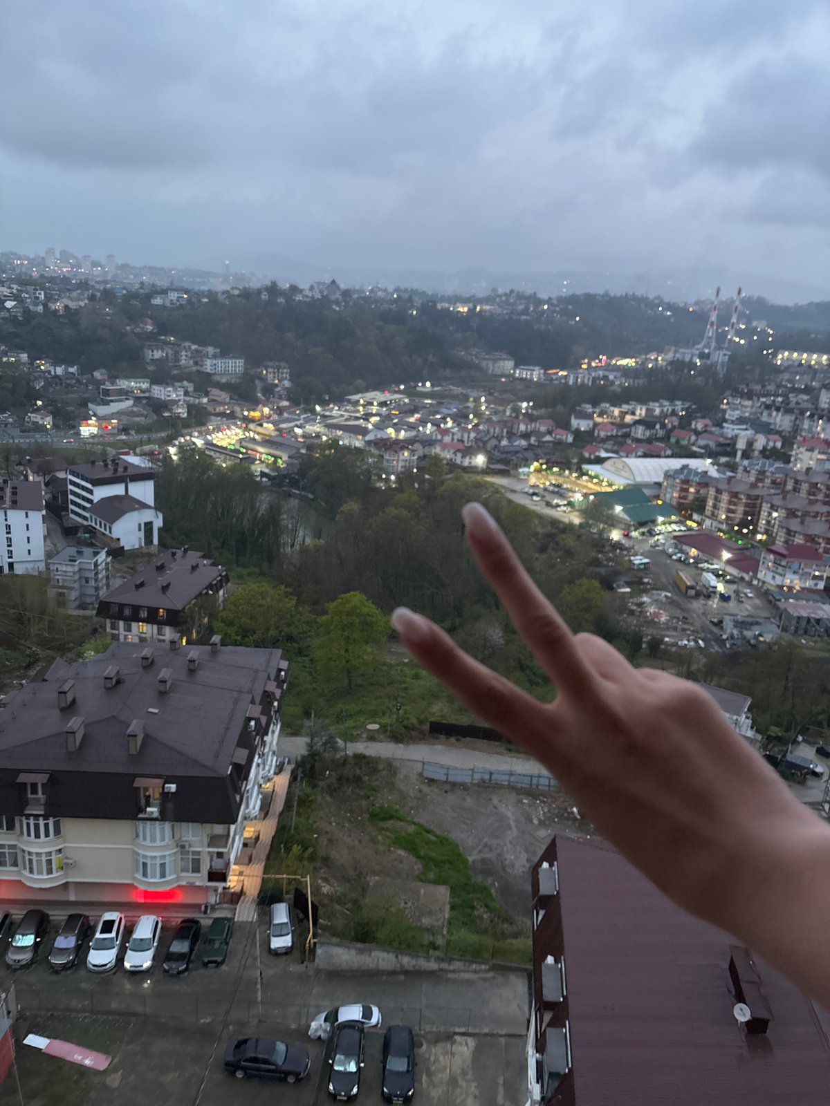 Woman documents cloudy day with terrier in Sochi