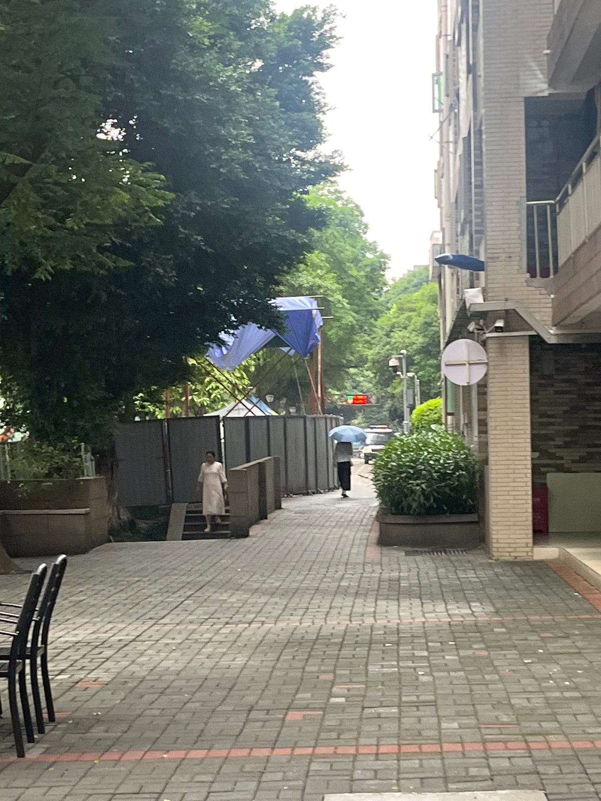 Witness documents everyday scenes across Yuzhong District, China