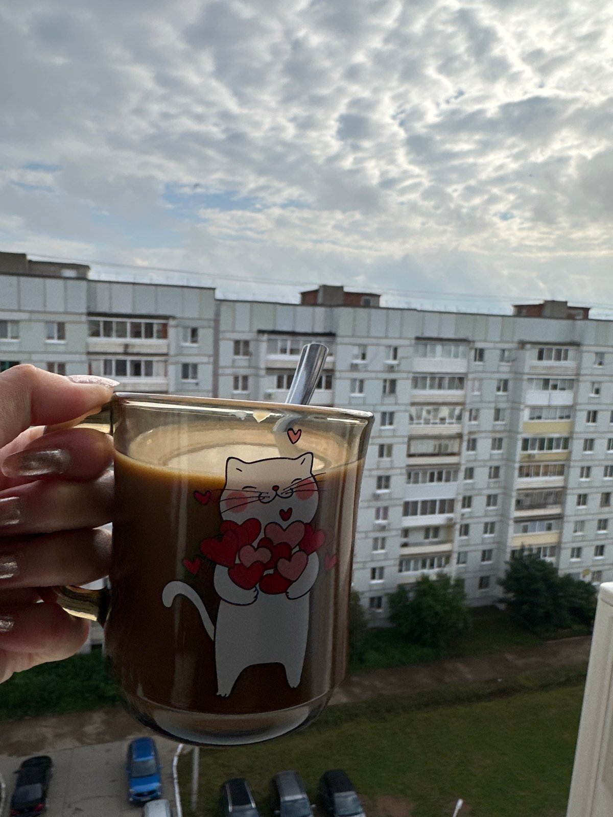 Coffee, a grumpy Persian cat, and a dog in Chaikovsky