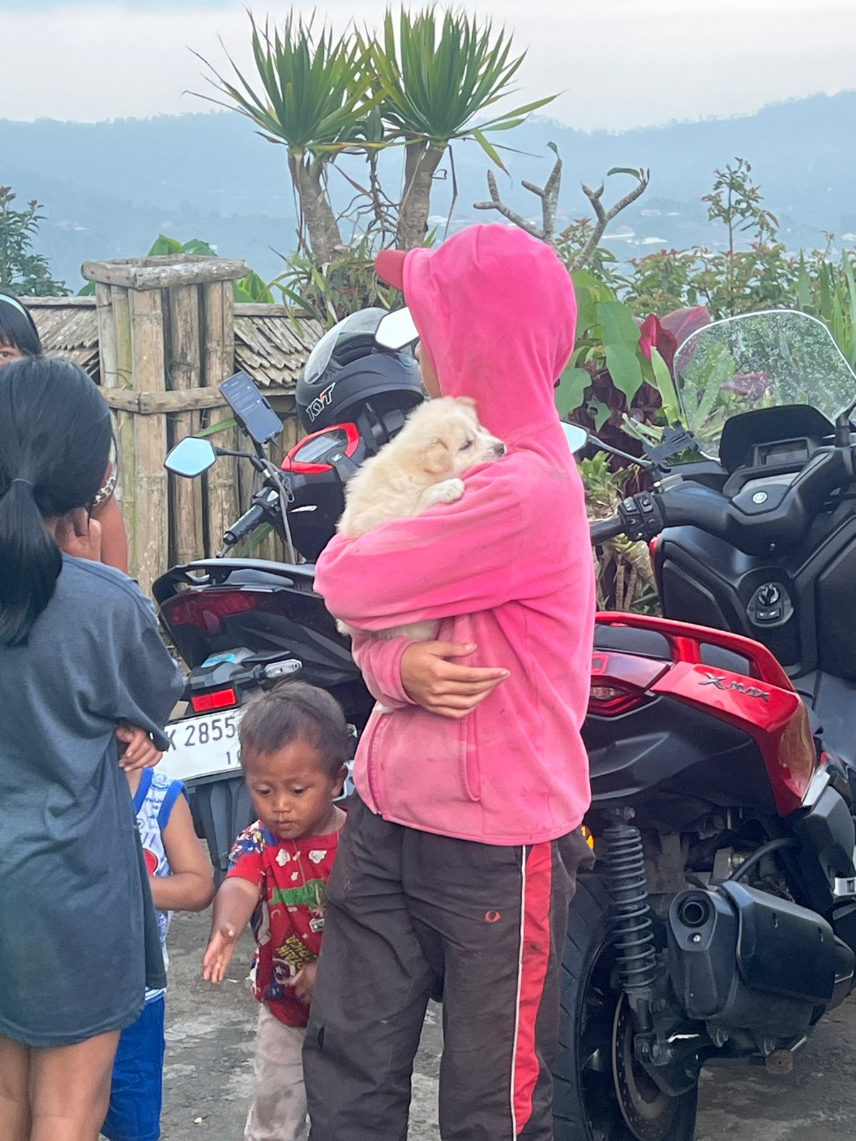 Small crowd gathers with puppy in Kintamani, Indonesia