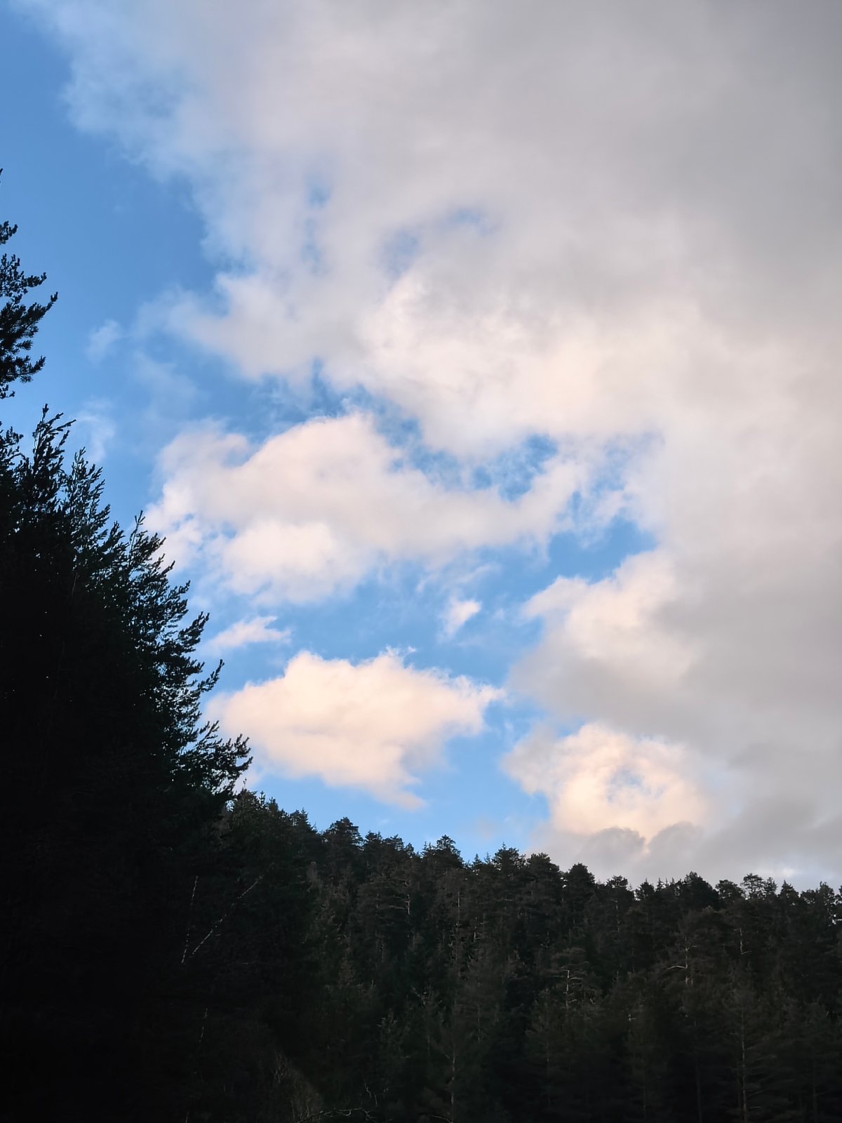 Ordinary Saturday afternoon moments documented across unknown residential area