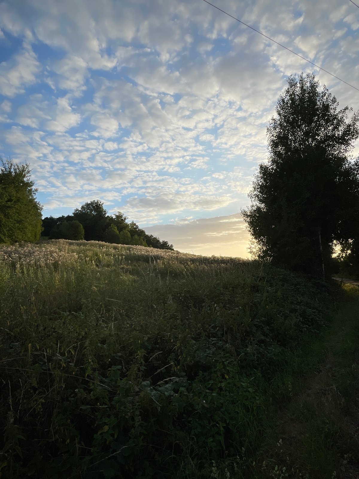 Triathlon route scouting through rural Neukirchen at golden hour