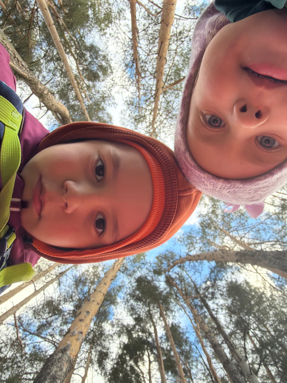 Children photographed playing near power lines in Russian forest