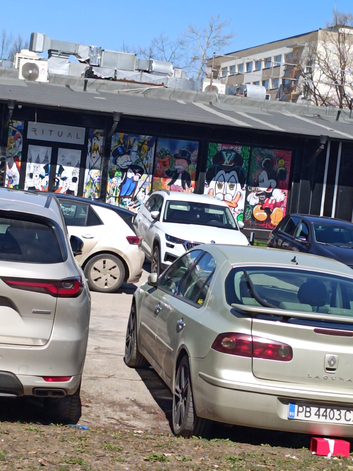 Person with brown handbag spotted on Sofia street
