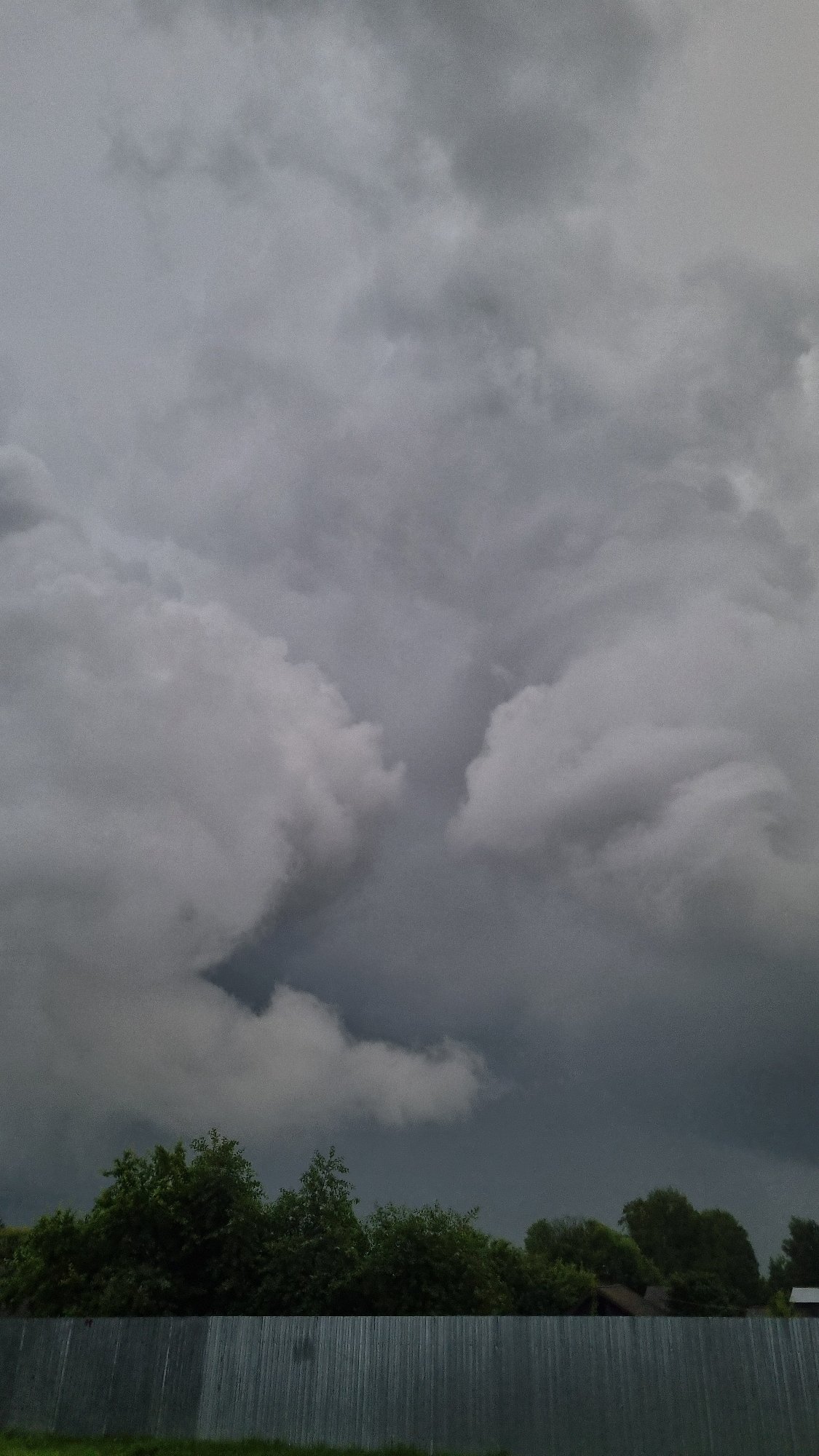 Rainy day in Vysokoe: stormy skies and a cat that doesn't care