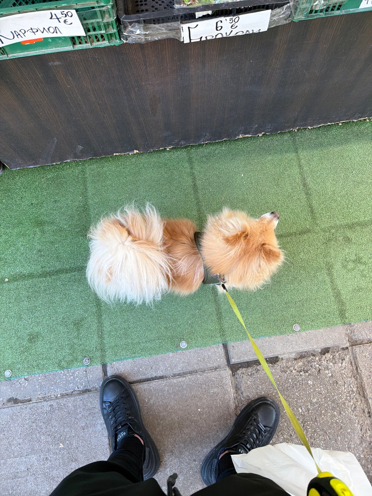 Two men spotted in different Sofia locations within minutes