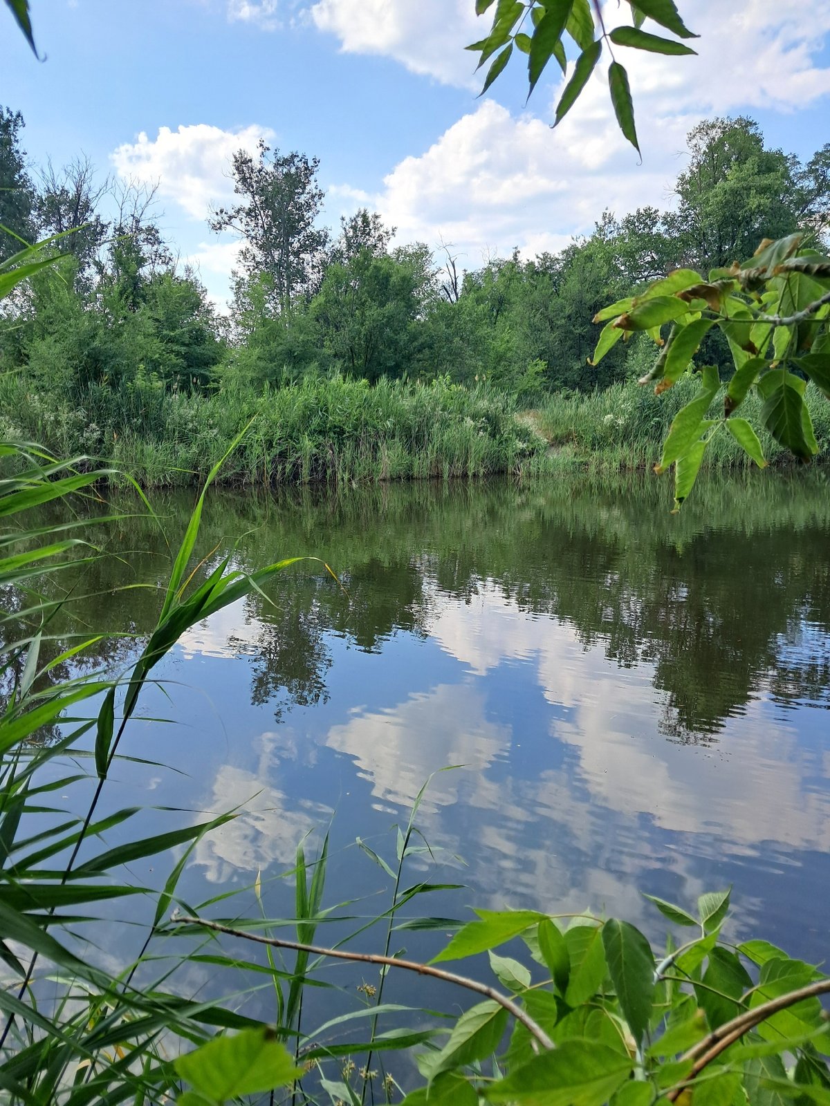 Still water and green banks along a Ukrainian riverside