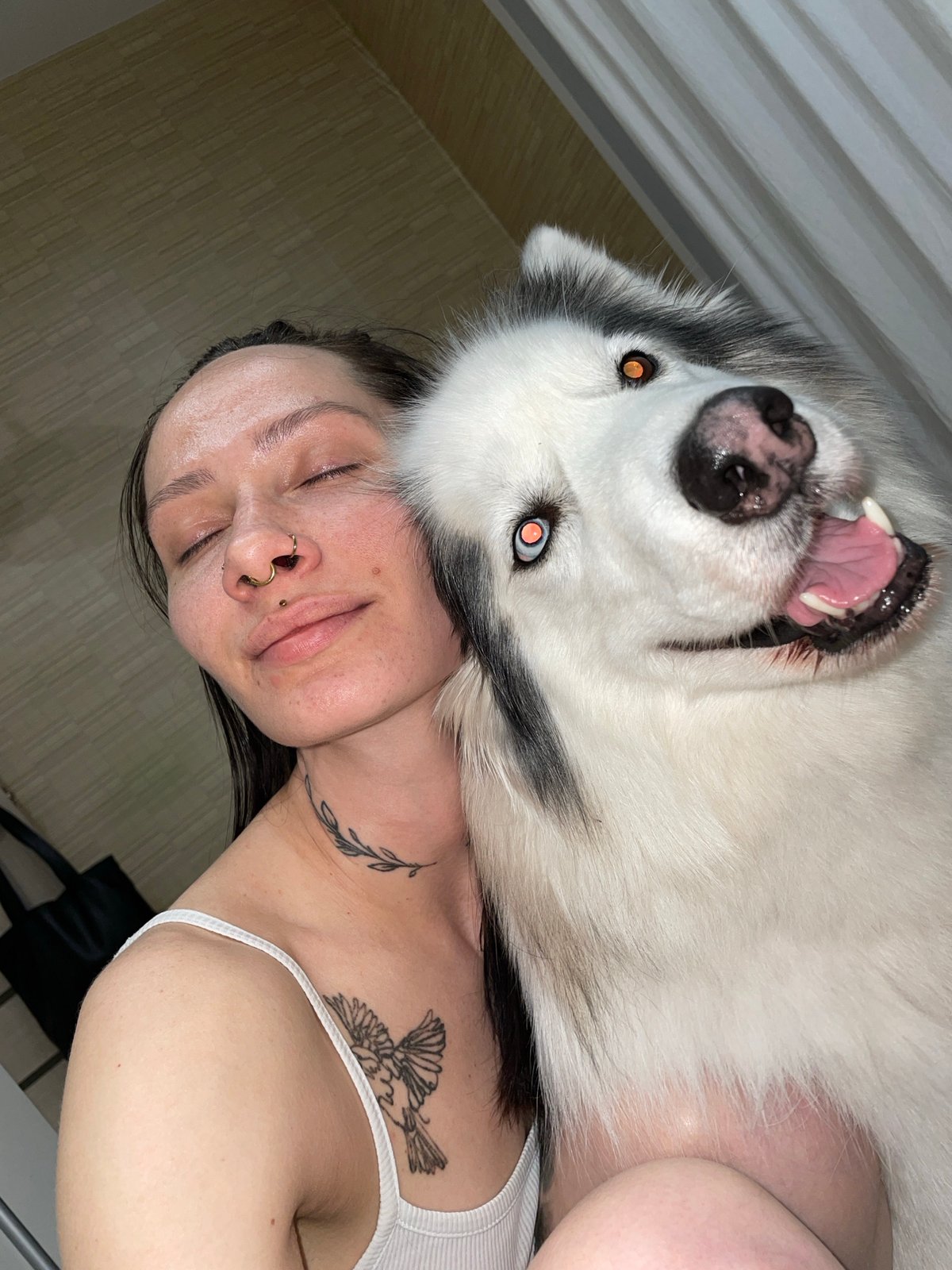 Woman takes selfies with dressed dogs in Izhevsk elevator