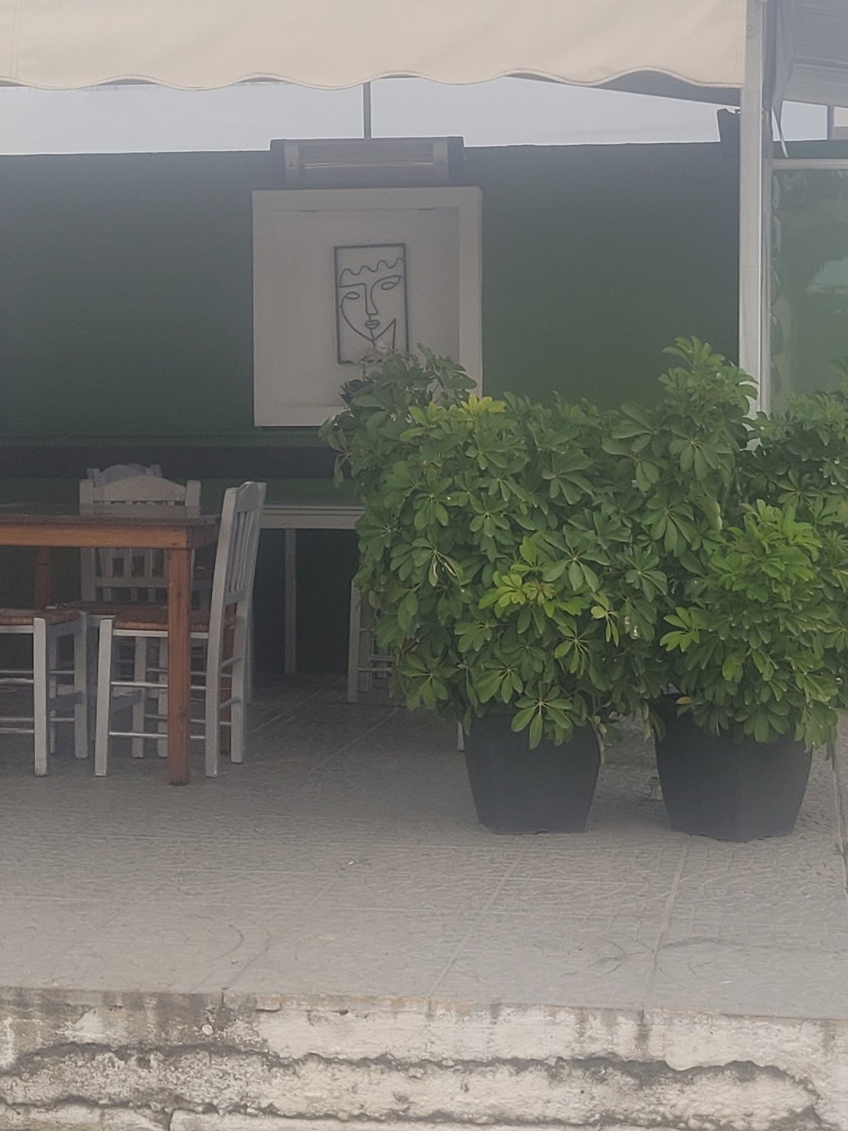 Urban street scene with plants and utility pole observed