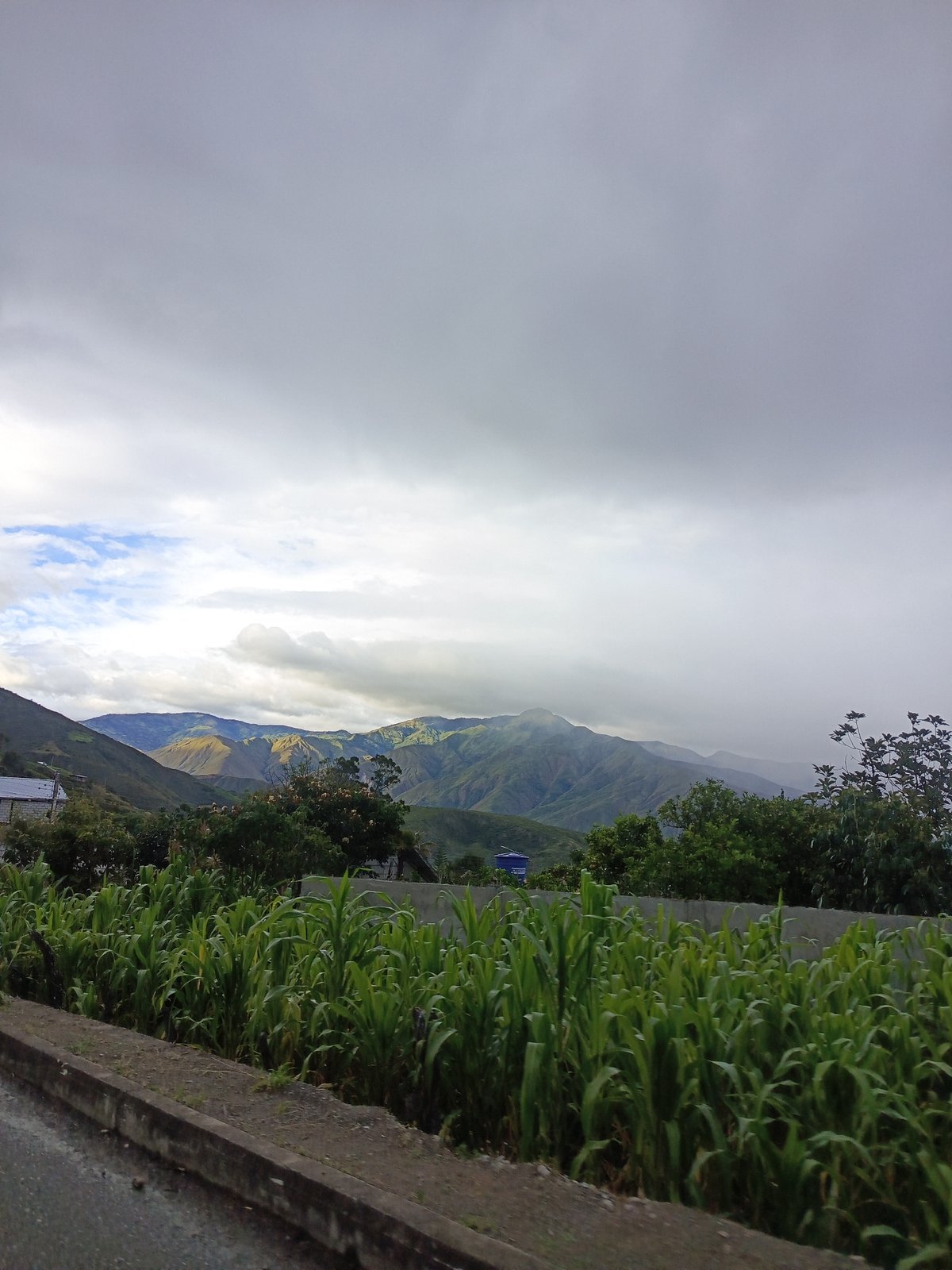 Rural roadside scenes documented near San Pedro de la Bendita